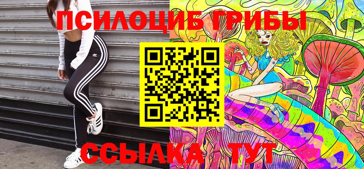 Галлюциногенные грибы Psilocybe  Вход с VPN  Мценск 