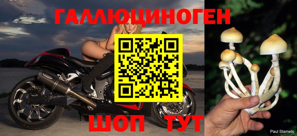 Галлюциногенные грибы мухоморы Мценск